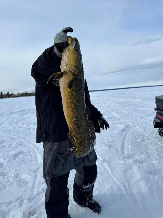 Tolsona Lake Lodge Glennallen Buitenkant foto